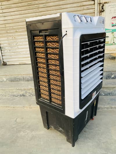 Ac/Dc air cooler 12volt