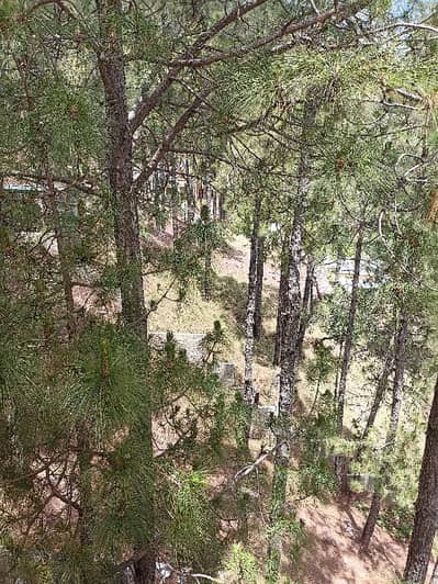 Plots With Possession Are Available For Sale In Pine Gardens Murree Lakot Near Aghosh College Murree By ASCO Properties Islamabad