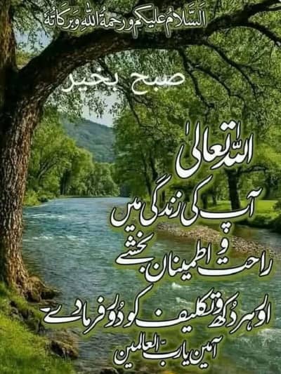 Required Male nurse in bharia town. Rwp