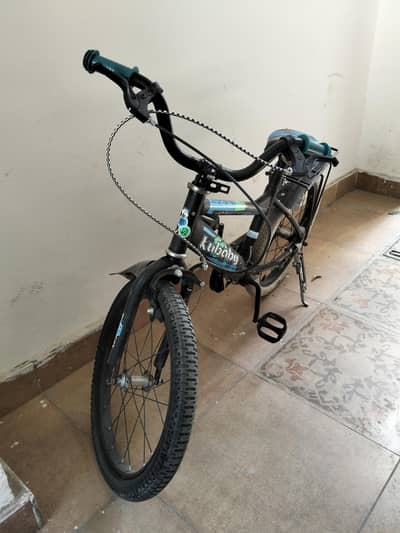 cycle 4 to 6 year old boy