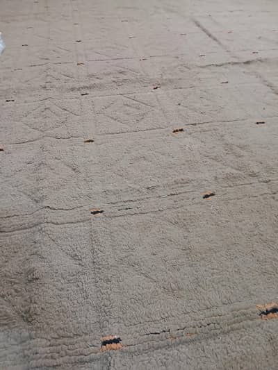 washable carpet for sale