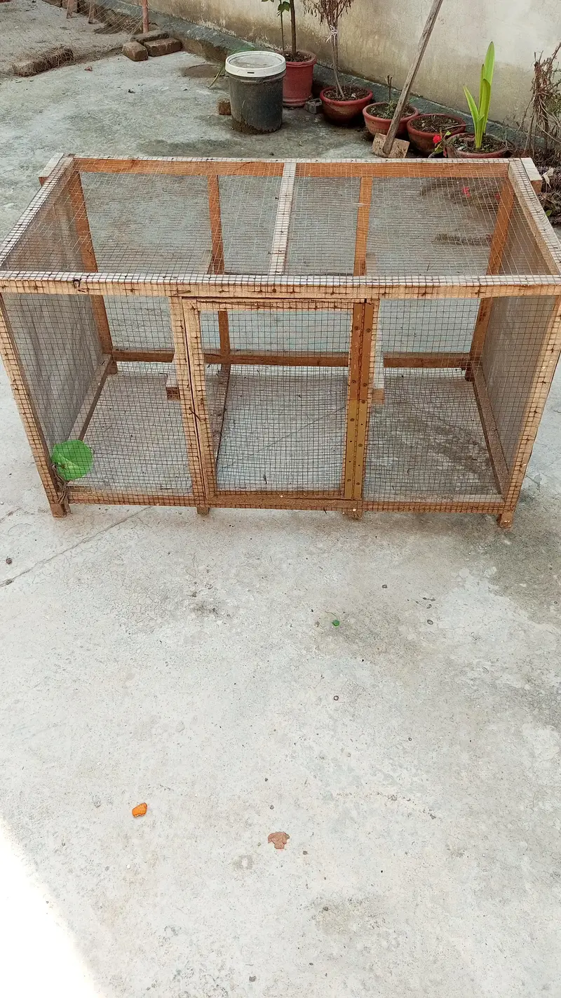wooden hens/birds cage — photo 2