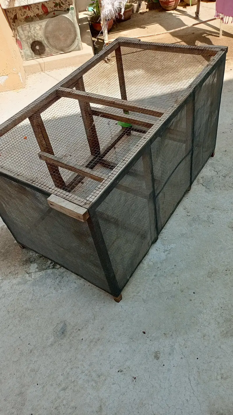 wooden hens/birds cage — photo 3