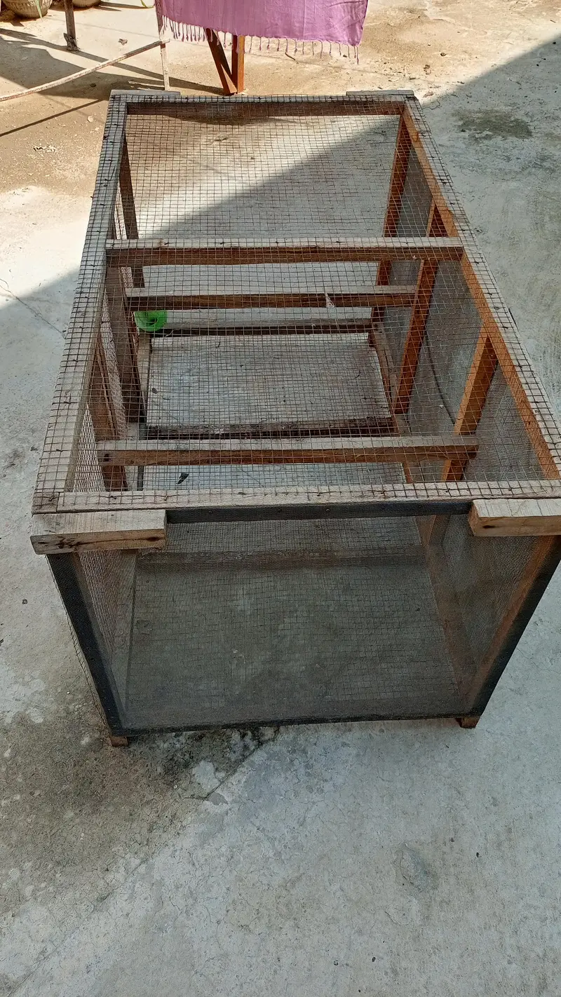 wooden hens/birds cage — photo 4