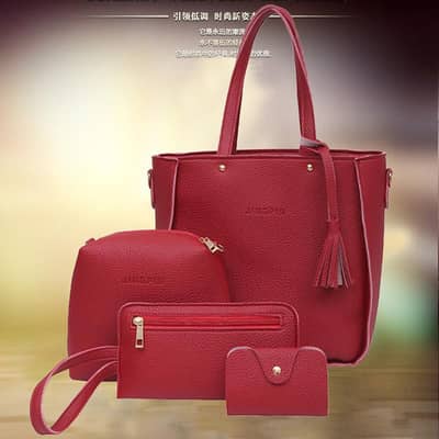 4 piece woman bag set