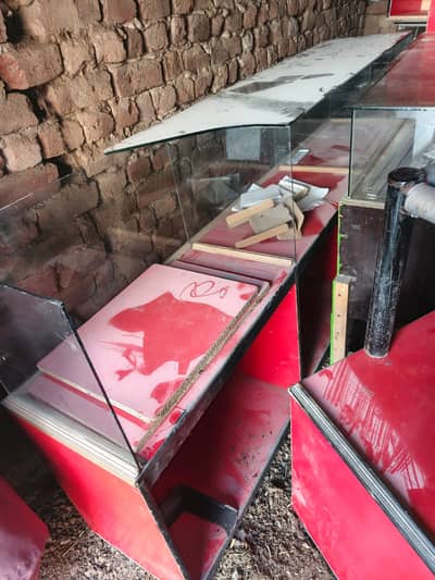 Stylish Shelves & Racks for Every Room  Modern Storage Solutions: She