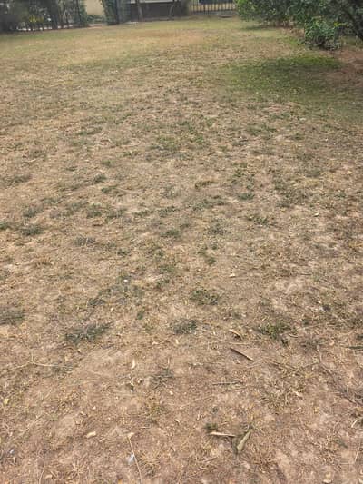 Premium 500 Square Yards House Is Available For sale In G-10