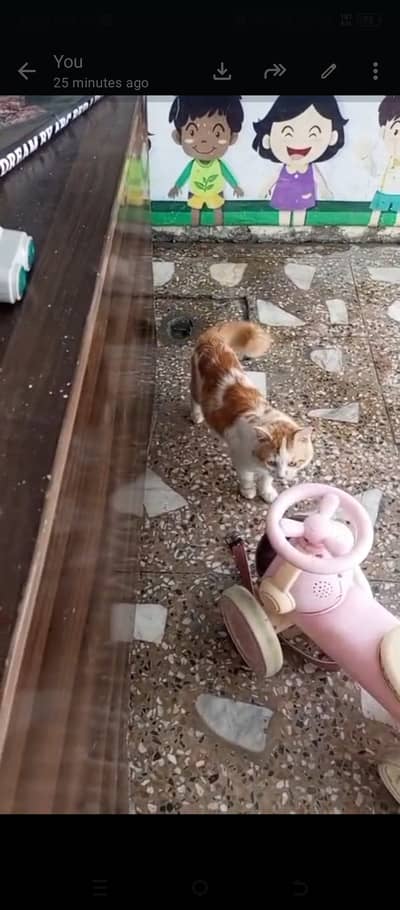 Russian double core for sale