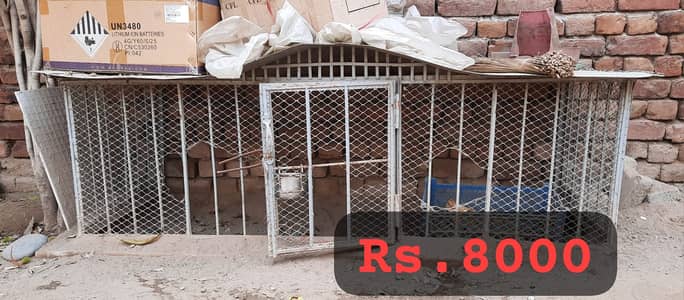 |Cage | Iron Cage | Hens Cage | Golden Misri Hens Cage|