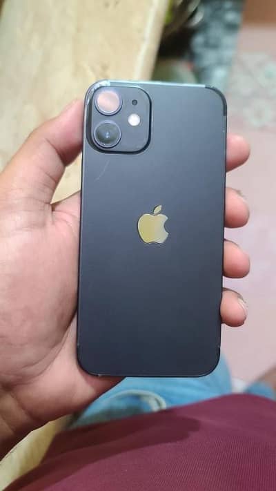 Iphone 12 MINI Water Pack F. U