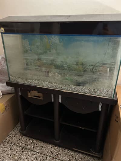 Mid size aquarium with filtering