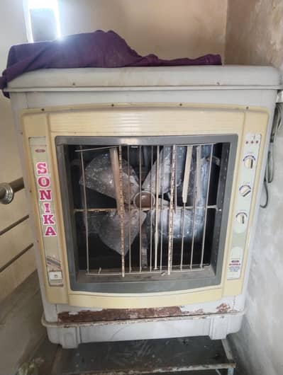 aire collar 03426078921