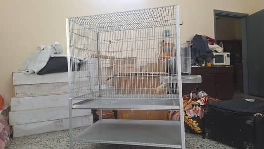 large carge/ pinjra for grey/maccow parrot