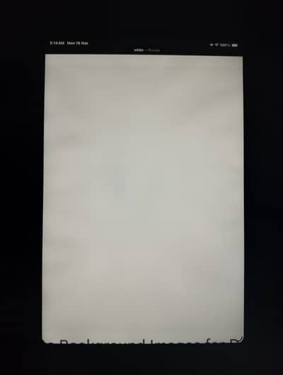 iPad mini 6 256GB Cellular+wifi