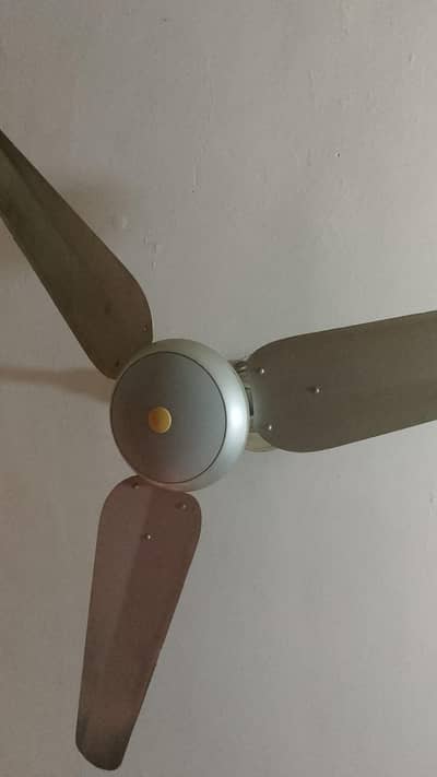 Dubai Fan Ceiling fan