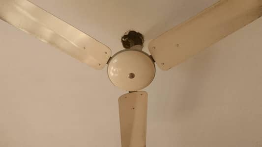 Celling Fan for sale