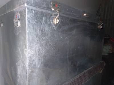 5 foot Peti lush condition