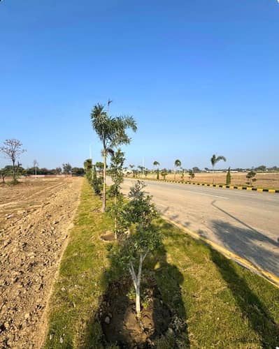 Lahore Organic Farms Society Located on Main Barki Road, Lahore.