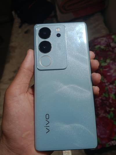 V29 5G edge screen for sale