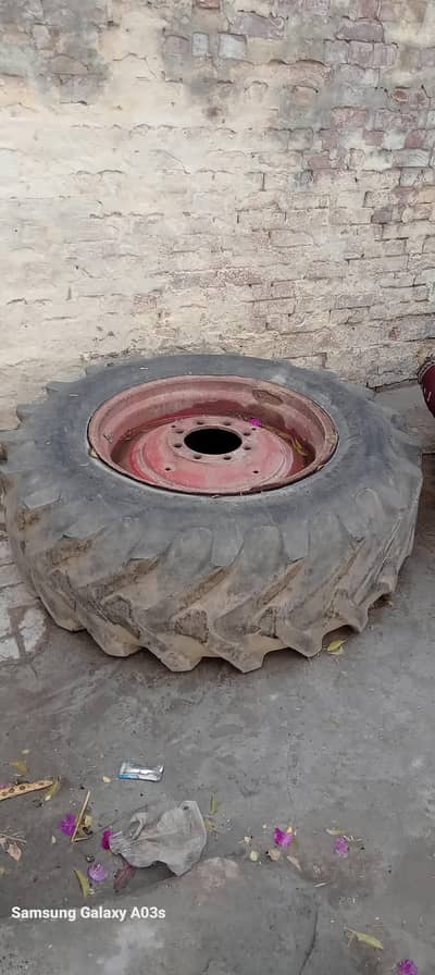 Rose  tyre