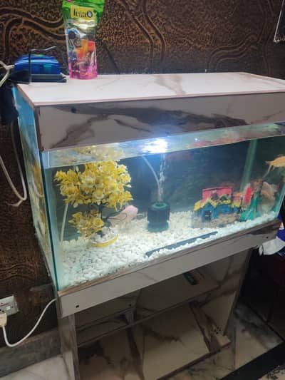 2.5Ft Fish Aquarium