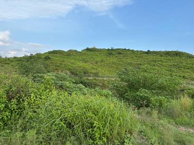 Possession Farm Good View | Sector "B" Facing Water Stream