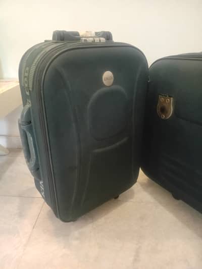 King cod small size luggage bag