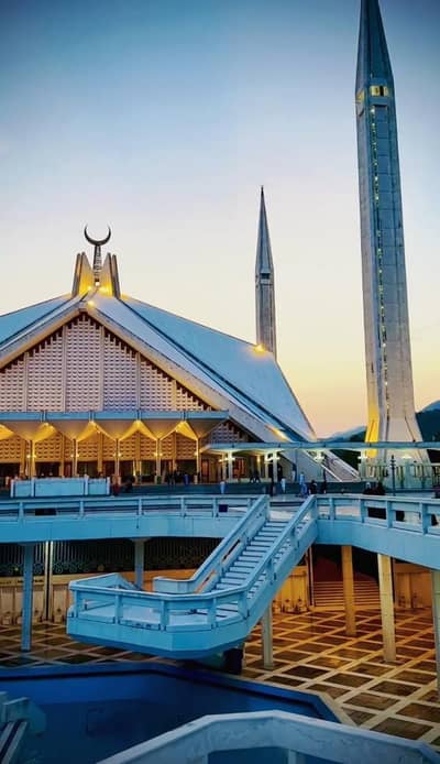 I need marketing job in international cargo company