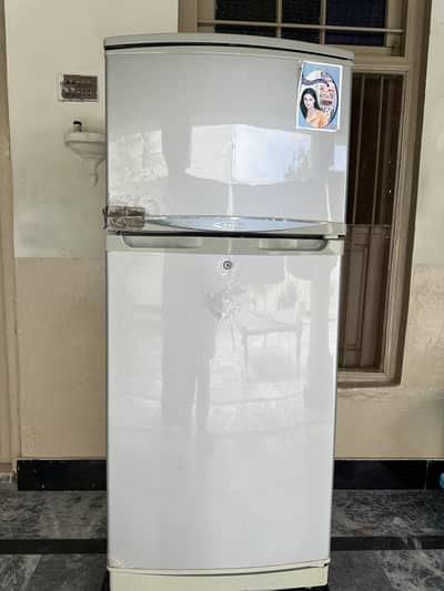 Waves Large size Refrigerator