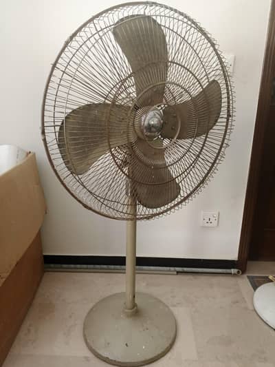 wahid and royal pedestal fan
