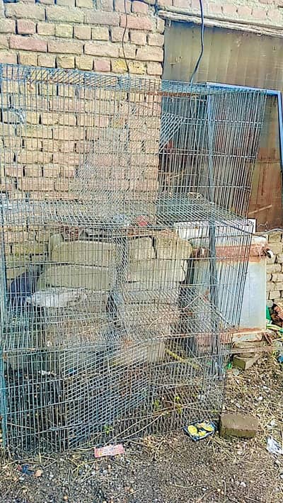 6.5 feet cage available spot welding ,6 portions
