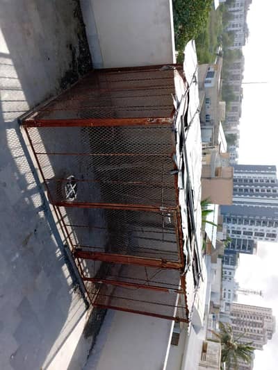 Pigeon cage for sale