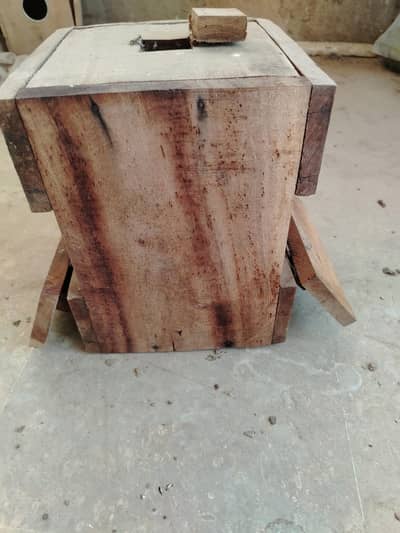 love birds box kiqar