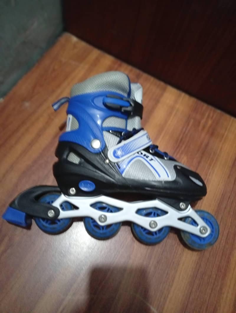 Inline Skates / Roller Skates 0