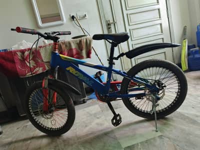 Royal Bicycle New Condition