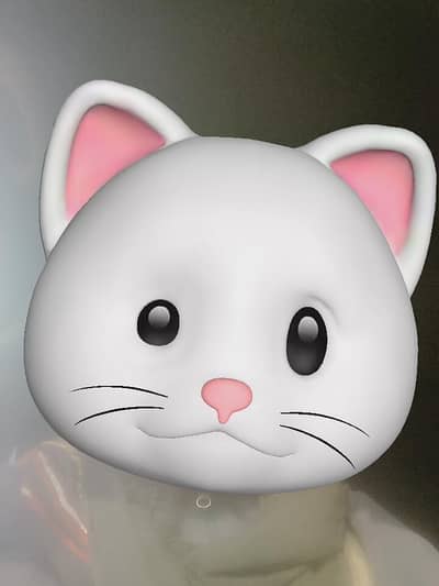 Need driver helper