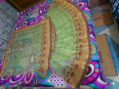 Elegant Embroidered Net Lehenga