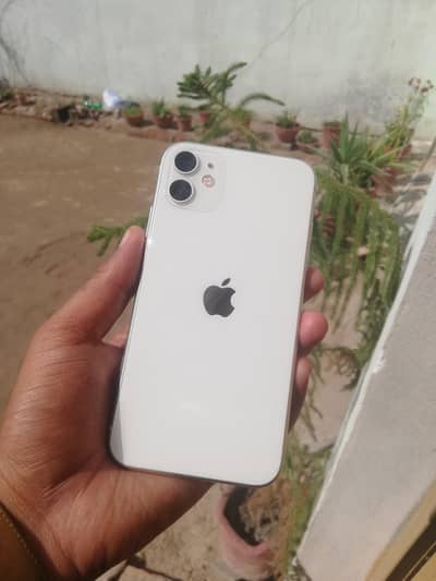 I phone 11 apple I'd yd ni bypass krvna pry ga 03414688822