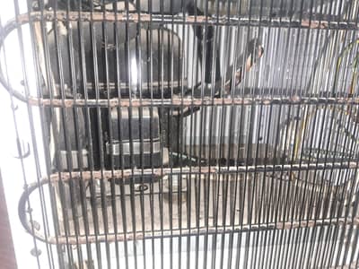 dawlance water dispenser-model wd 1040 wr