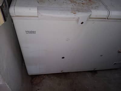 warnty may ha  sirf dafi nhi hoi