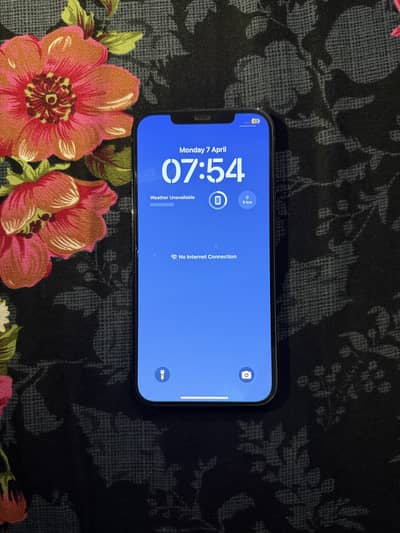 Apple iPhone 12 Pro Max