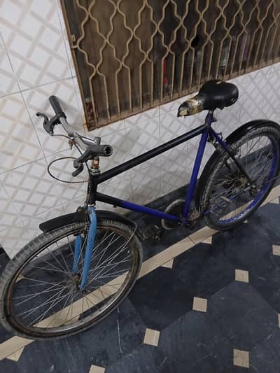 Phoenix Bicycle Size 26" For Sale