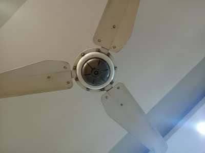 GFC Celing fan