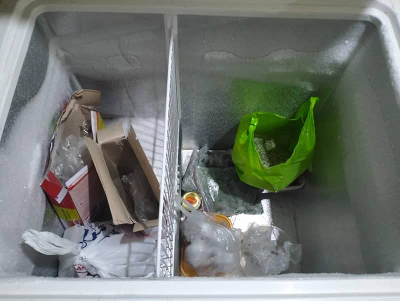 deep freezer 2