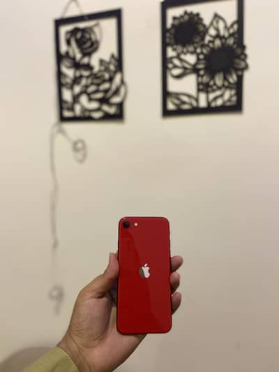 iPhone SE 256Gb Approve