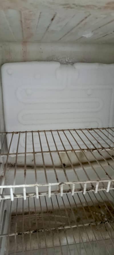 Orient freezer urjant sale