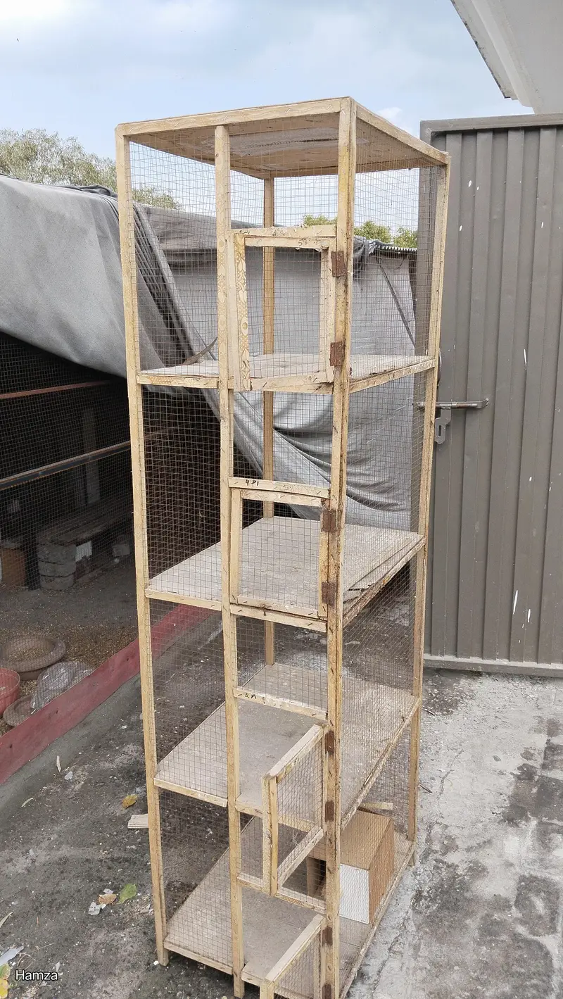 4 door cage for birds or chicks. — photo 2