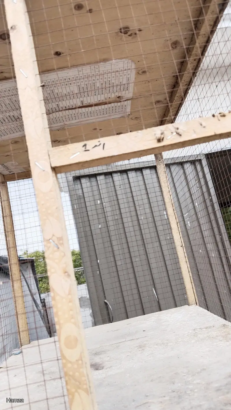 4 door cage for birds or chicks. — photo 3