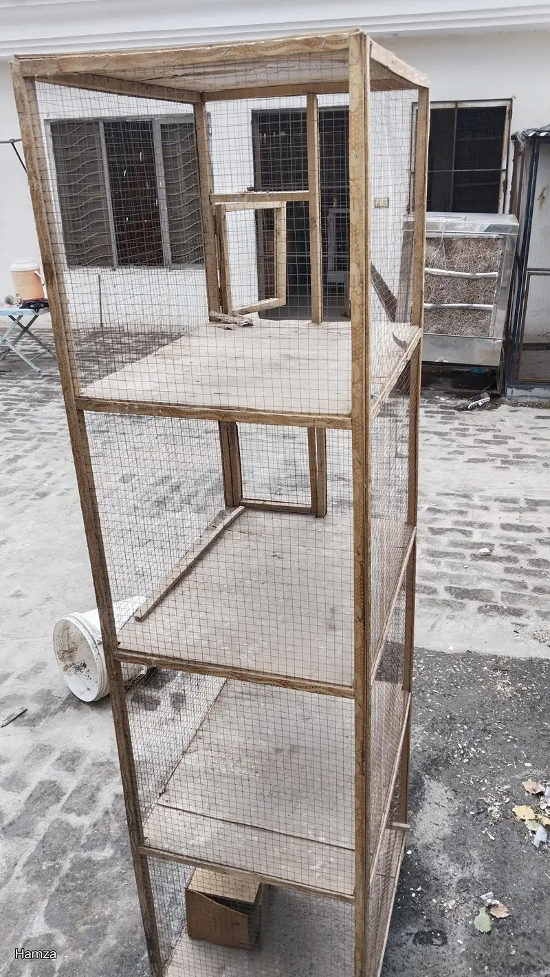 4 door cage for birds or chicks. — photo 4