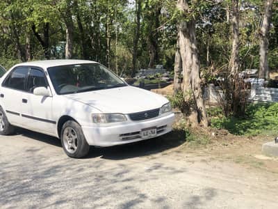 Crolla 2 beauty up for grab